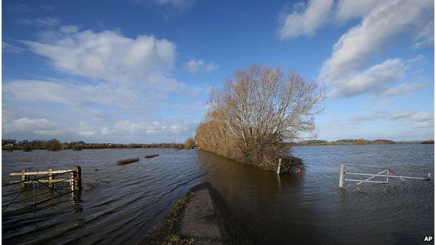 Somerset Levels