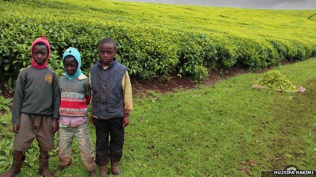 Children standing at the edge of crops, copyright Huzeifa Hakimi