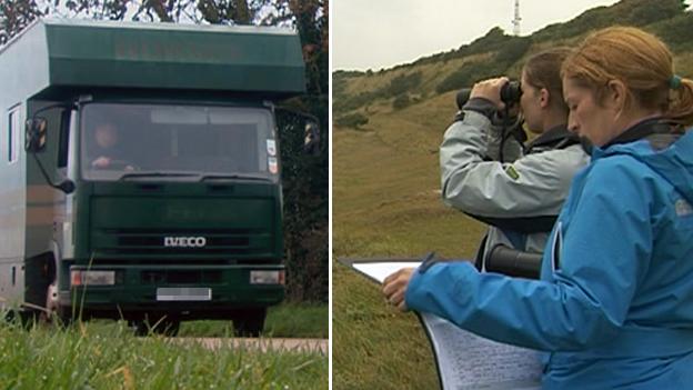 Lorry carrying horses to docks (reconstruction) and World Horse Welfare officers