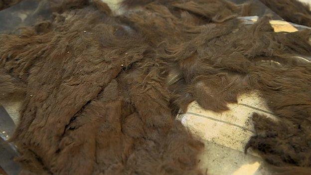 Animal pelt