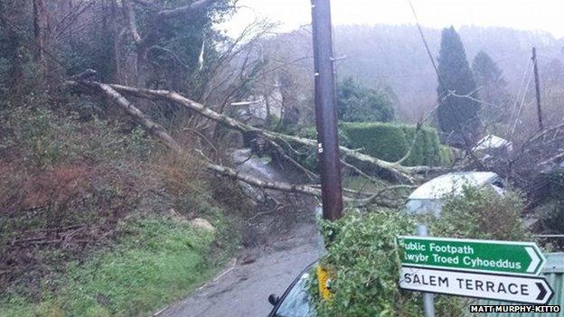 Trees brought down power lines in Gwaelod-y-Garth near Cardiff