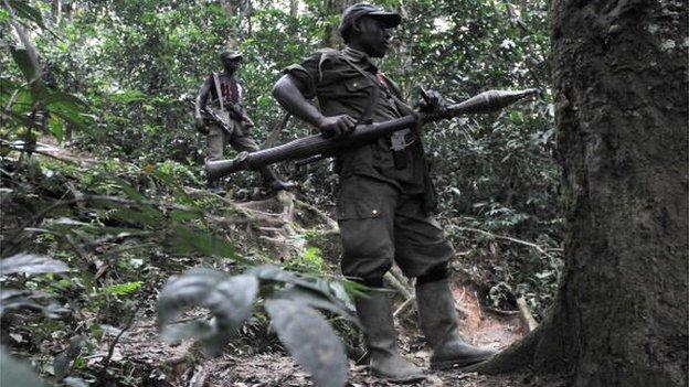 FDLR fighter (file photo)