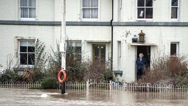 Old lady and cat watching flood