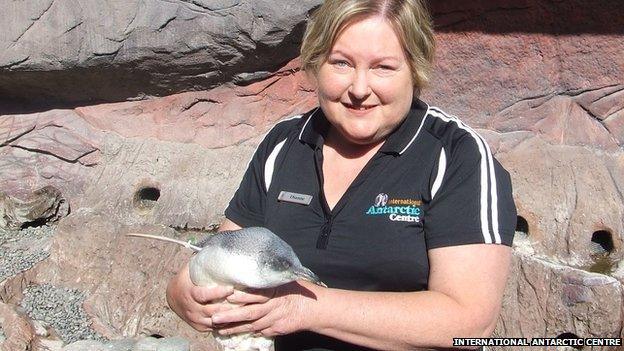 Dianne Lim holding a penguin called 21 at the International Antarctic Centre.