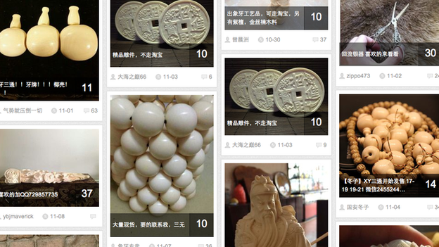 A screengrab from website Baidu forum showing search engine results for the term "African ivory"