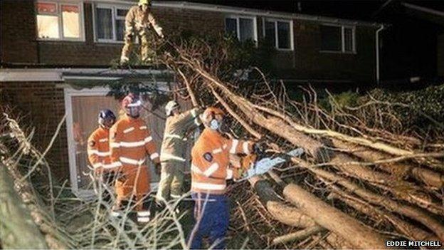 Aftermath of storm in Sussex