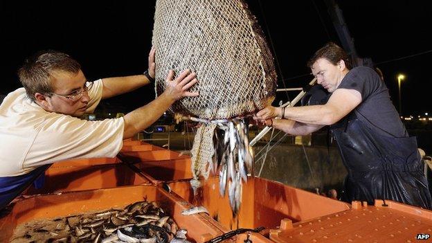 Sardine catch, Quiberon, western France - file pic