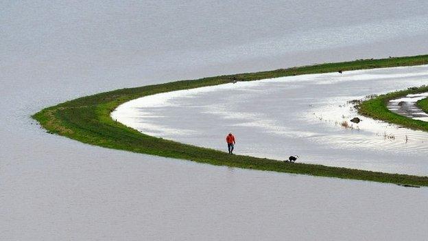 Man walks his dog by the River Tone