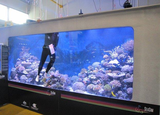 Tank at SEASIM