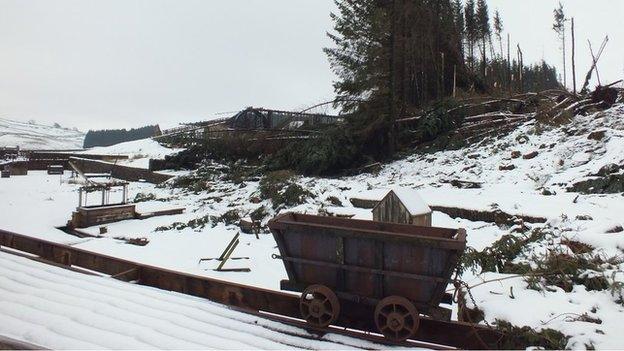 Fallen trees at Killhope