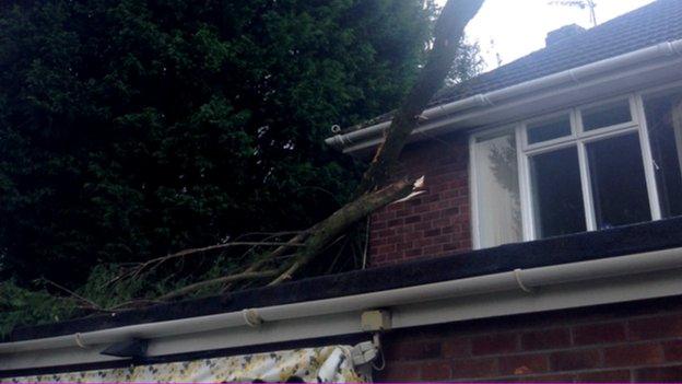 Tree on house