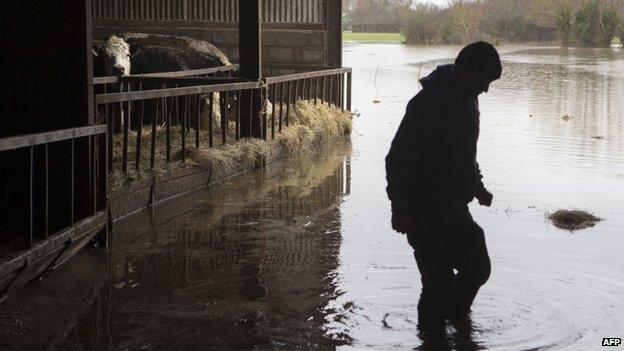 A Somerset farmer