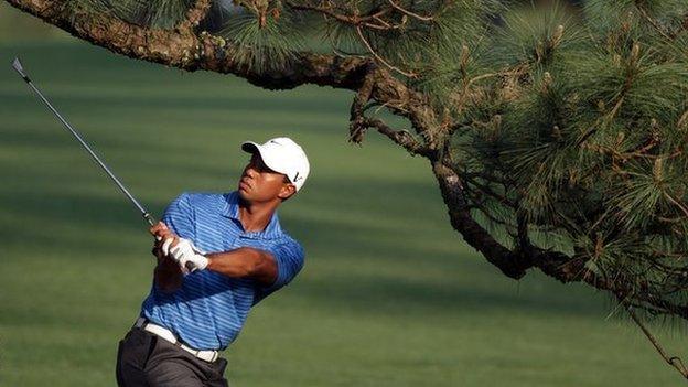 Tiger Woods and the Eisenhower Tree