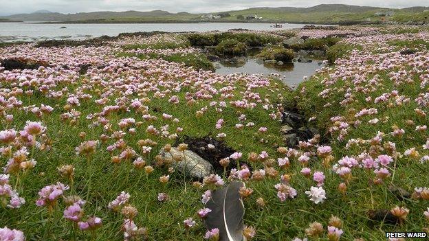 The foreshore of Loch Roag at Callanish.