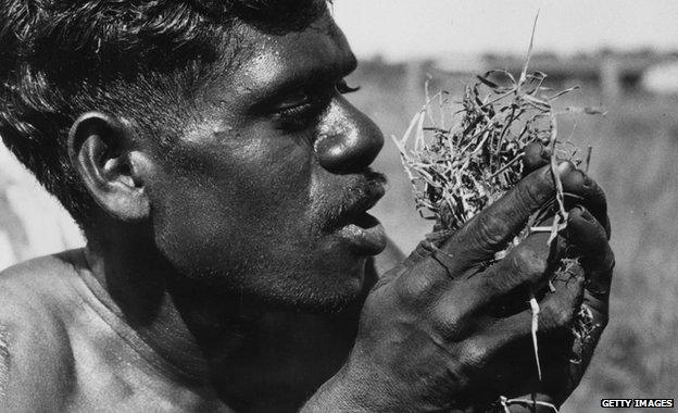 An Aborigine blowing into dry grass