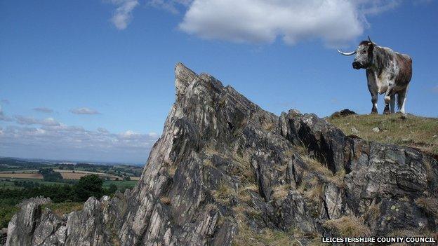 Beacon Hill in Leicestershire