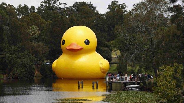 The giant inflatable Rubber Duck installation by Dutch artist Florentijn Hofman floats on the Parramatta River, as part of the 2014 Sydney Festival