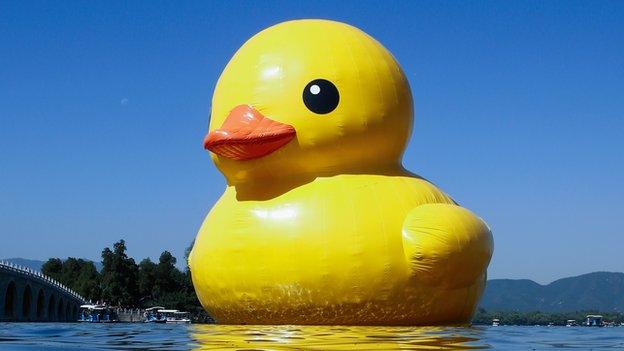 Giant rubber duck