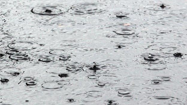 rain drops in a puddle