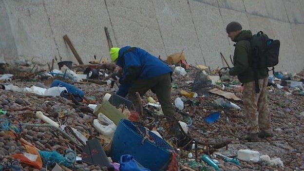 Volunteers picking up carcasses of dead birds