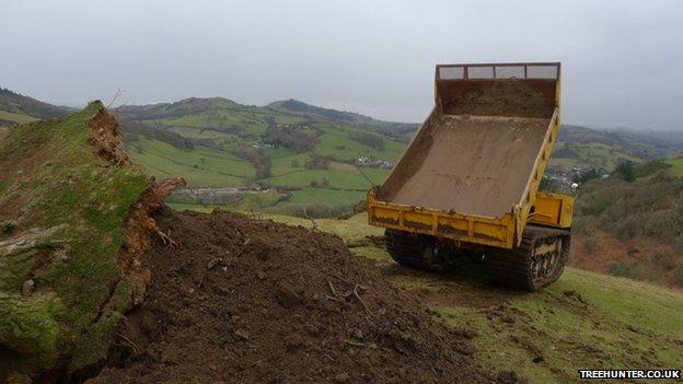 Dumper truck tipping soil on the tree