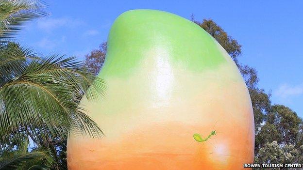 mango