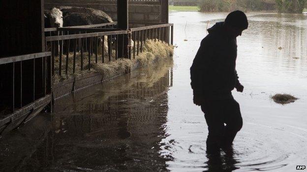 A farmer working at his flooded farm