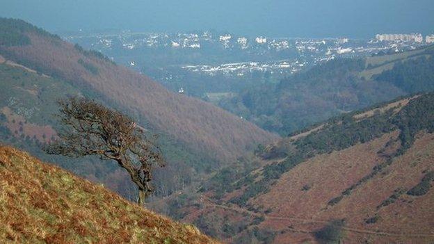 Ramsey Forest courtesy Manx Wildlife Trust