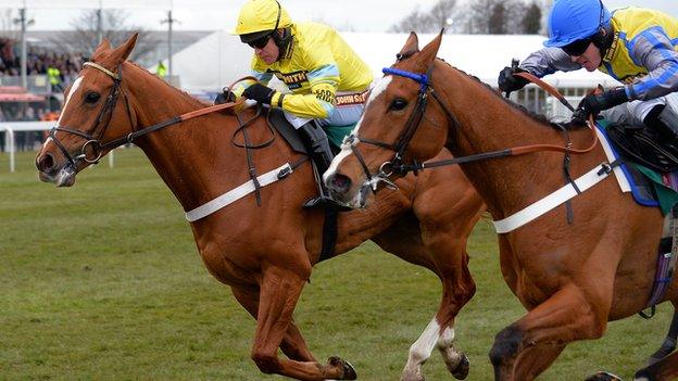 Triolo D'Alene winning the Hennessy Gold Cup