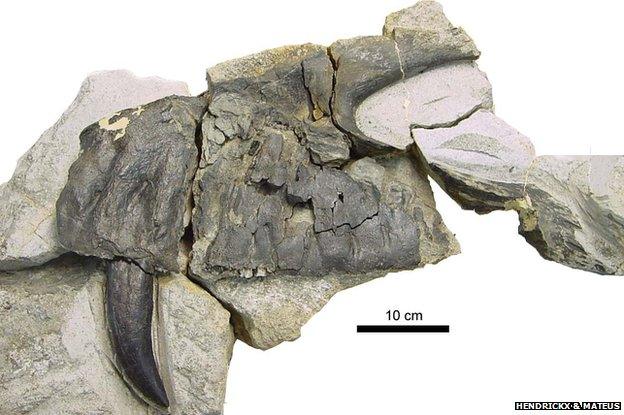 Upper-jaw part