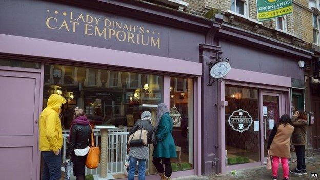 Lady Dinah's Cat Emporium