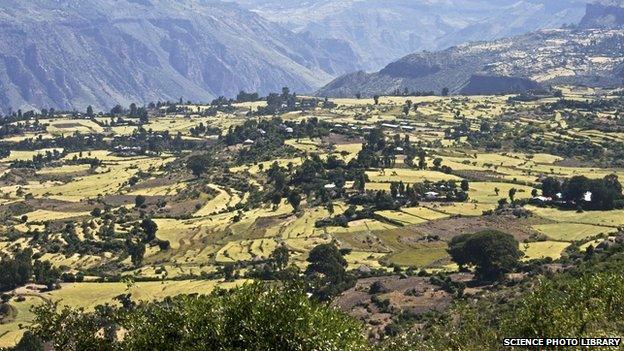 Ethiopian Highlands