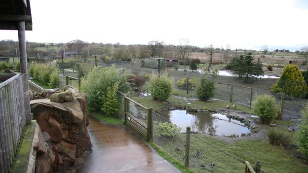 View of Blackbrook Zoo