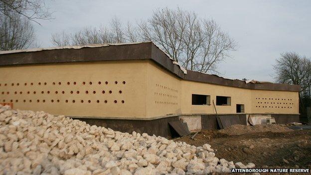 Sand martin hide