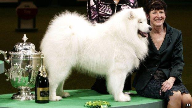 Val Freer with their Samoyed dog Dan The Man who was named as the Best-in-Show runner-up