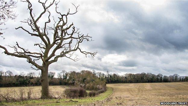 Langley Vale, Epsom, Surrey