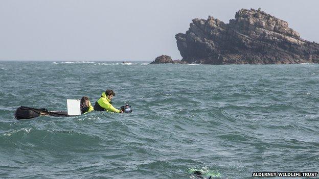 Alderney Wildlife Trust