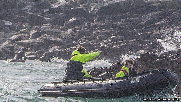 Alderney Wildlife Trust