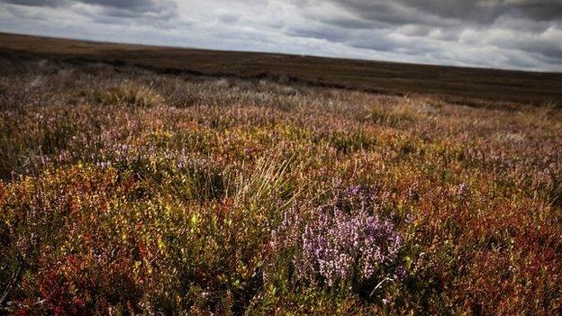 North Yorkshire Moors