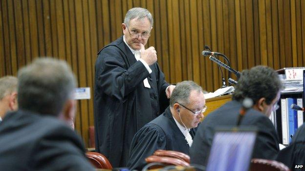 Lawyer of South African Paralympic athlete Oscar Pistorius, Barry Roux talks to the court during a hearing at the North Gauteng High Court in Pretoria (12 March 2014)