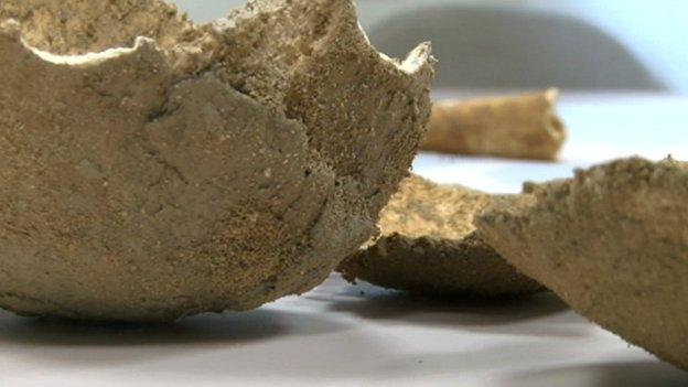 Bone remains found on a Cornish beach