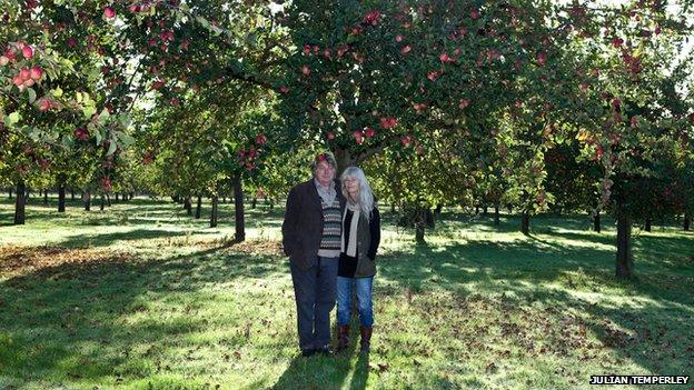 Orchard in summer