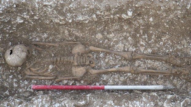 Remains found near West Knoyle in Wiltshire