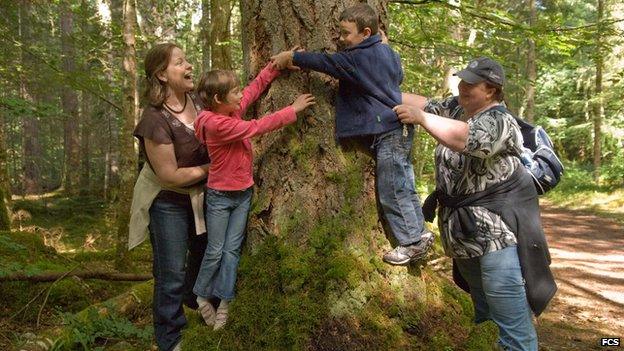 People at the trunk of fir in Reelig Glen