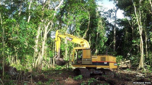 Bulldozer amongst trees