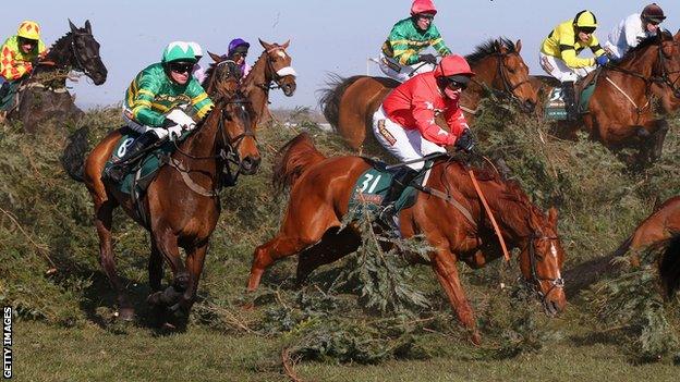 Action from the 2013 Grand National