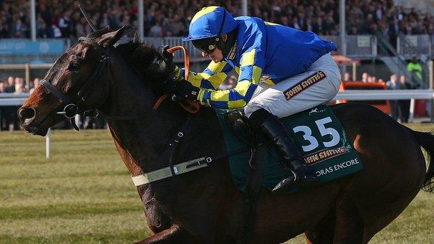 Auroras Encore winner of the 2013 Grand National