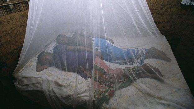 Mosquito nets