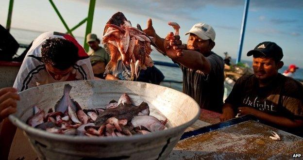 Fishermen in El Salvador