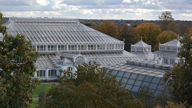 Kew Gardens